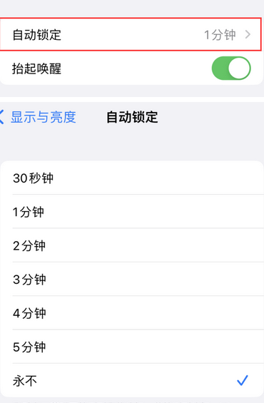 淮阳苹果换屏维修分享无法调整iPhone自动锁屏的时间怎么办